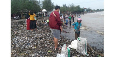 Warga Berebut Punguti Ribuan Kerang Terdampar di Pantai Sendang Sikucing 