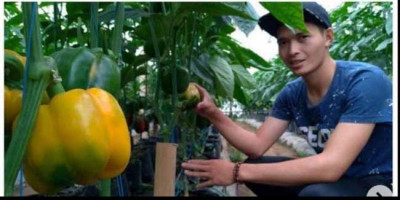 Menggiurkan, Petani Milenial Bandung Berpenghasilan Fantastis