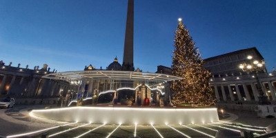 Pohon dan Kandang Natal 2020 di Lapangan Santo Petrus Vatikan