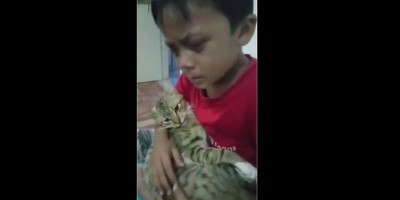 Bocah Laki-laki Ini Menangis Terisak-isak, Kucing Kesayangannya Mati Makan Rumput yang Diracun