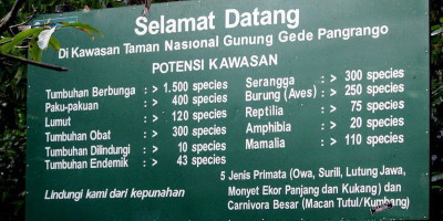 Pendakian Gunung Gede Pangrango Ditutup Sebulan 