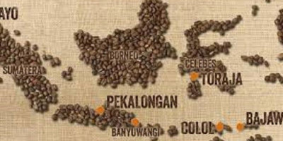 Memperkuat Penetrasi Kopi Indonesia di Pasar Amerika Utara dan Jerman Pascapandemi