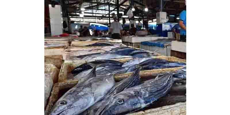 Cek Harga Ikan di Palabuhanratu Jelang Malam Tahun Baru