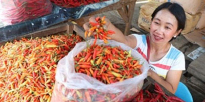 Cabai Penyumbang Inflasi Terbesar di Jakarta
