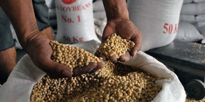 Bareskrim Polri Telusuri Mahalnya Harga Kedelai, Ternyata Ini Penyebabnya