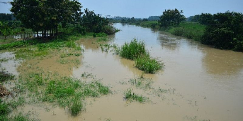 9 Desa di Gresik Terendam Banjir, Ratusan KK Terdampak
