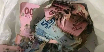 Uang Rp 15 Juta Dimakan Rayap, LPS: Sebaiknya Disimpan di Bank 