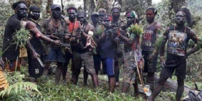 KKB di Papua Sudah Brutal, Bakar Pesawat dan Todong Pilot dengan Senjata