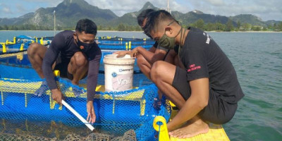 Satgas Komposit Natuna Pasmar 1 Jalankan Program Ketahanan Pangan