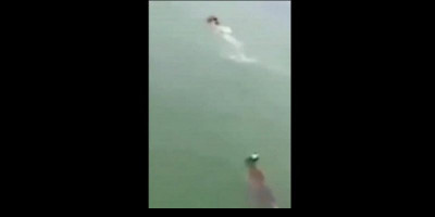 Ngeri, Ini Detik-detik Seorang Pria Dikejar Buaya Saat Berenang 