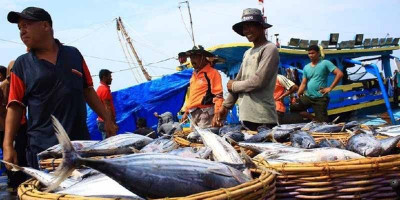 Awak Kapal Perikanan Indonesia Masih Minim Perlindungan 