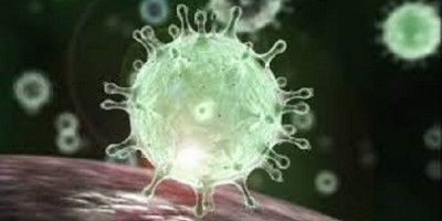 Soal Mutasi Baru Virus Corona, Begini Penjelasan Ahli Epidemiologi