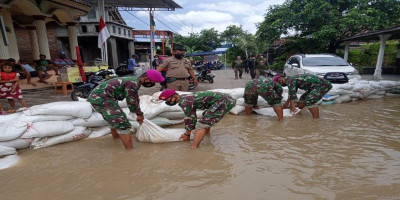 Satgas Prcpb Korps Marinir TNI AL Laksanakan Perbaikan Tanggul Di Jombang