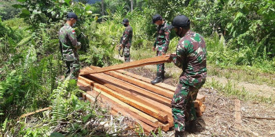 Satgas Yonif 642 Amankan Kayu Ilegal di Wilayah Perbatasan