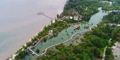 Tersangka Perusakan Mangrove di Kabupaten Belitung Segera Disidang, Diancam Hukuman Penjara 10 Tahun 
