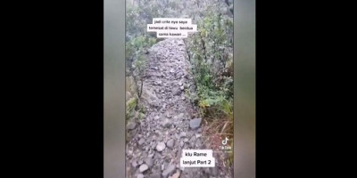Tersesat di Gunung Lawu, 2 Pendaki Dituntun Burung Jalak Menuju Puncak