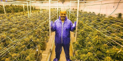 Mike Tyson Tajir Melintir dari Berkebun Ganja