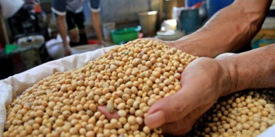 Pemerintah Pastikan Harga Tahu Tempe Masih Stabil