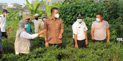 Lippo Karawaci Sediakan Lahan Garapan untuk Warga Terdampak Pandemi Covid-19