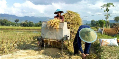 Uni Irma: Impor Beras Tindakan Zalim Pada Petani
