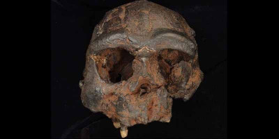 Temuan Baru dari Jejak Denisovan di Asia Tenggara