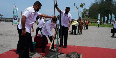 Mitigasi Dampak Tsunami, Wapres Tanam Pohon di Pariaman
