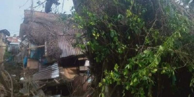 Heboh Pohon Tumbang Timpa Rumah Kembali Tegak, Warga Diminta Tak Kaitkan dengan Mistis