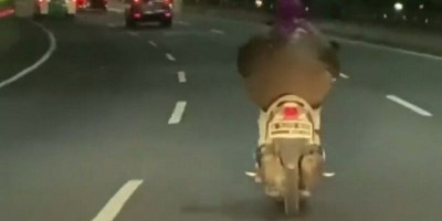 Polisi Telusuri Pemotor Ngebut di Jalan Tol Dalam Kota Semanggi