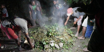 Selamat dari Kekejaman KKB, Kepala Suku Dambet Papua Gelar Ritual Bakar Batu