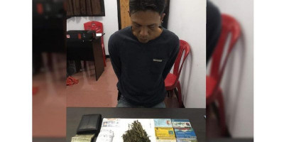 Guru SMA di Rejang Lebong Terciduk Bawa Ganja 