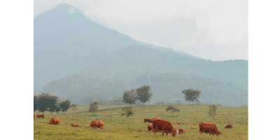 Wisata Ala New Zealand di Payakumbuh