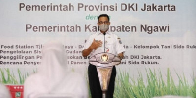 Anies Baswedan Membalas Budi ke Petani, Jalin Kerja Sama Pangan Antardaerah