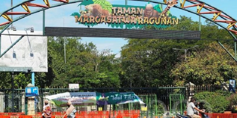 Lebaran Hari Kedua, 7.536 Orang Kunjungi Taman Margasatwa Ragunan