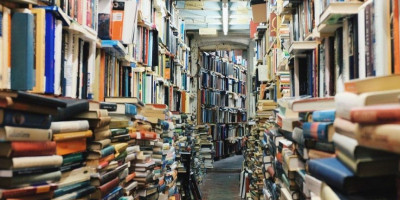 Sufmi Dasco: Pemerintah Harus Permudah Akses Literasi Masyarakat
