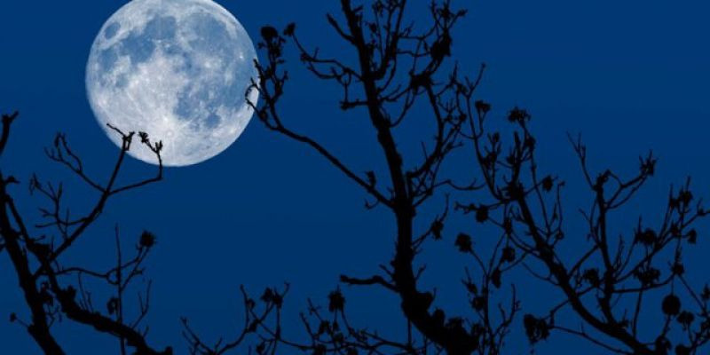 Gerhana Bulan Total Bisa Dilihat di Langit Indonesia Besok, Catat Waktunya