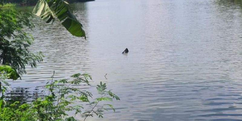 Helikopter Jatuh ke Danau di Depok, Ini Kronologinya