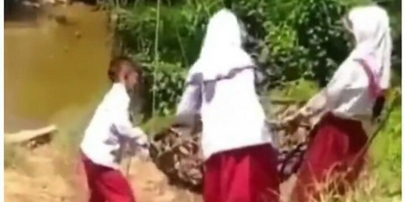 Viral Video 3 Bocah SD Seberangi Sungai Bergelantungan di Keranjang, Kepala Desa Jelaskan Fakta Sebenarnya