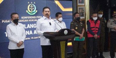 Ini Kronologi Pemulangan Buronan Adelin Lis dari Singapura ke Indonesia