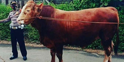 Makna Hari Krida Pertanian Bagi Ipda Sigit Krisyanto, Polisi Berprestasi yang dekat dengan Petani Desa