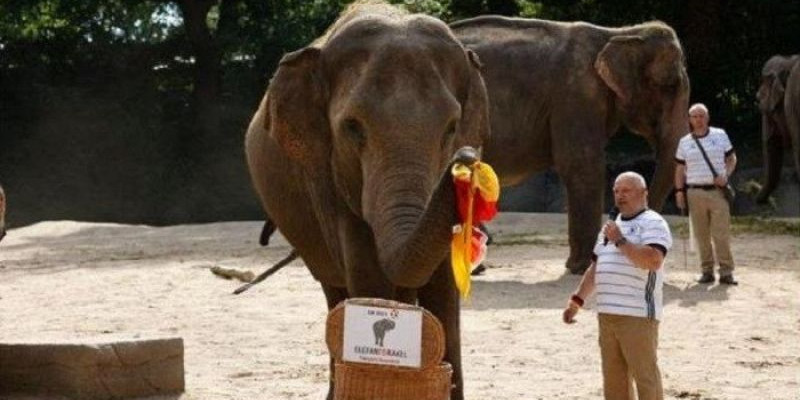 Gajah inggris