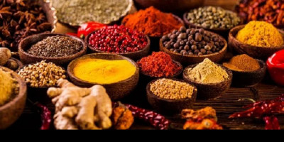 Berita Bebas Corona dari India