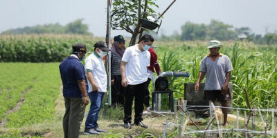 Pimpin Pencapaian SDGs, PLN Group Borong 7 Penghargaan di Ajang ISDA 2021   