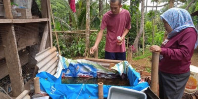 Aneka Budidaya di Pamiarsa, Siapkan Program dan Terobosan