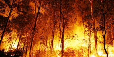 15 Hektare Hutan dan Lahan di Perbukitan Danau Toba Terbakar