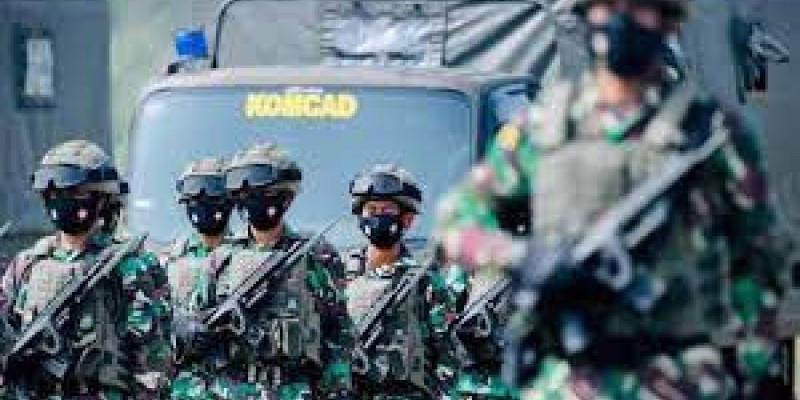 Komcad TNI Melecehkan TNI dan Polri