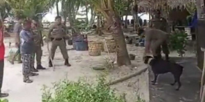 Anjing 'Canon' Dimasukkan Keranjang hingga Mati, Satpol PP Bantah Ada Penyiksaan 