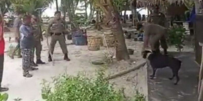 Anjing Bernama Canon Mati Diduga Disiksa Satpol PP di Aceh, Animal Defenders Bakal Lapor ke Polisi 