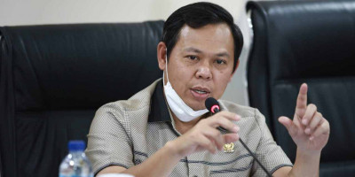 Food Estate Berpotensi Merambah Hutan, Waket DPD RI Dorong Pemerintah Terapkan Sistem Agroforestry 