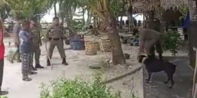 Anjing Canon Mati, Pemilik Kimo Resort Minta Maaf dan Sudah Rela
