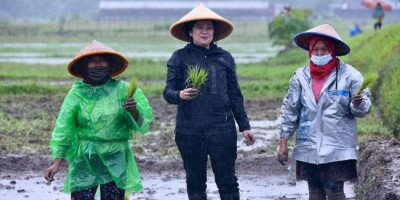Kompak dengan Susi Pudjiastuti Sindir Puan Tanam Padi Saat Hujan, Fadli Zon: Belum Belajar Pencitraan 4.0?